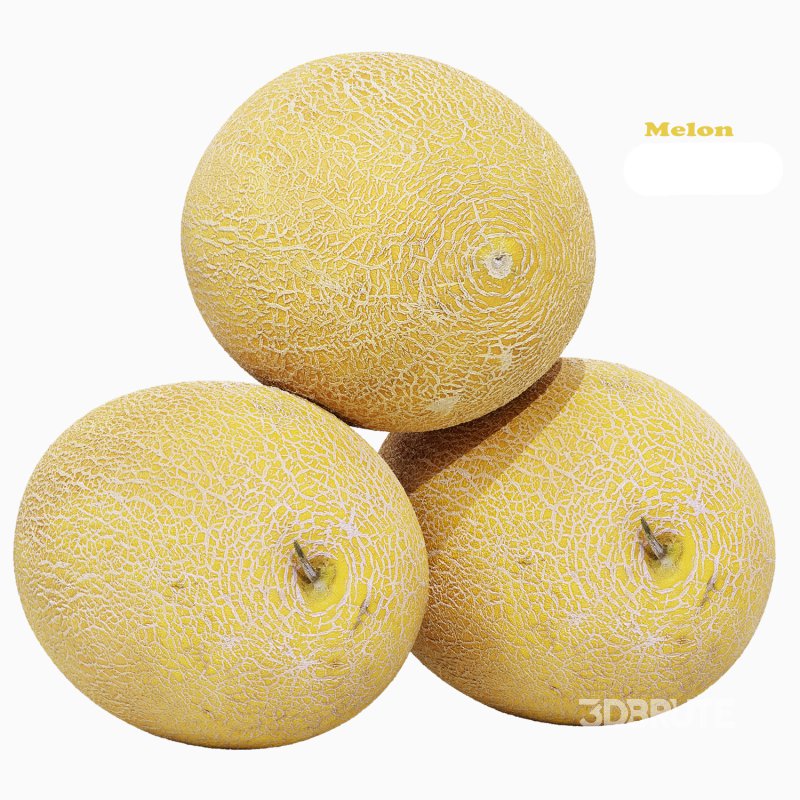 Melon Image 1