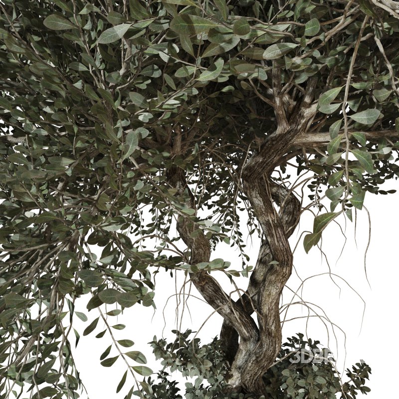 Decorative Indoor Plant and Ivy Branches in Pot Image 4