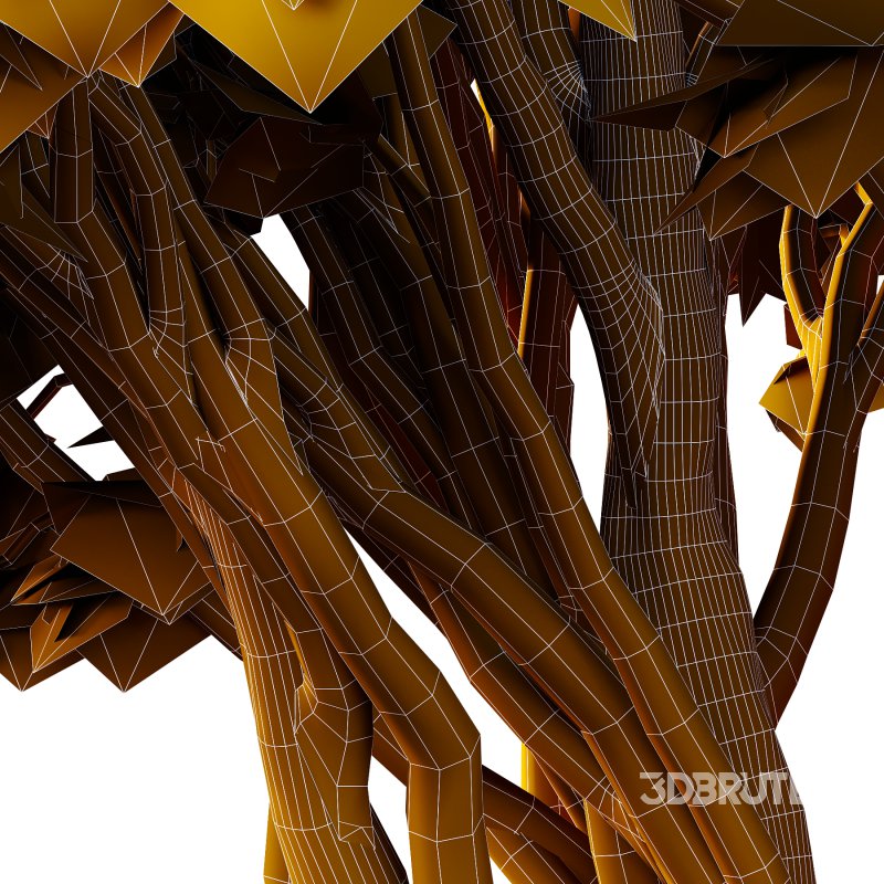 Different Trees 27 Image 3