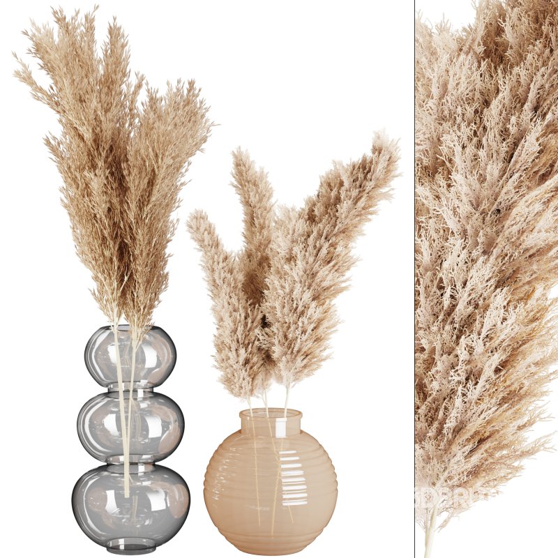 Minimal Pampas Bouquet in Glass Vase Image 1