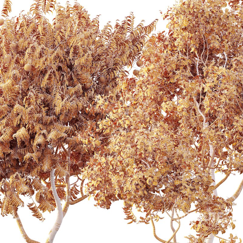 ntal charm. Image 13