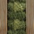Vertical Garden - Thumbnail 5