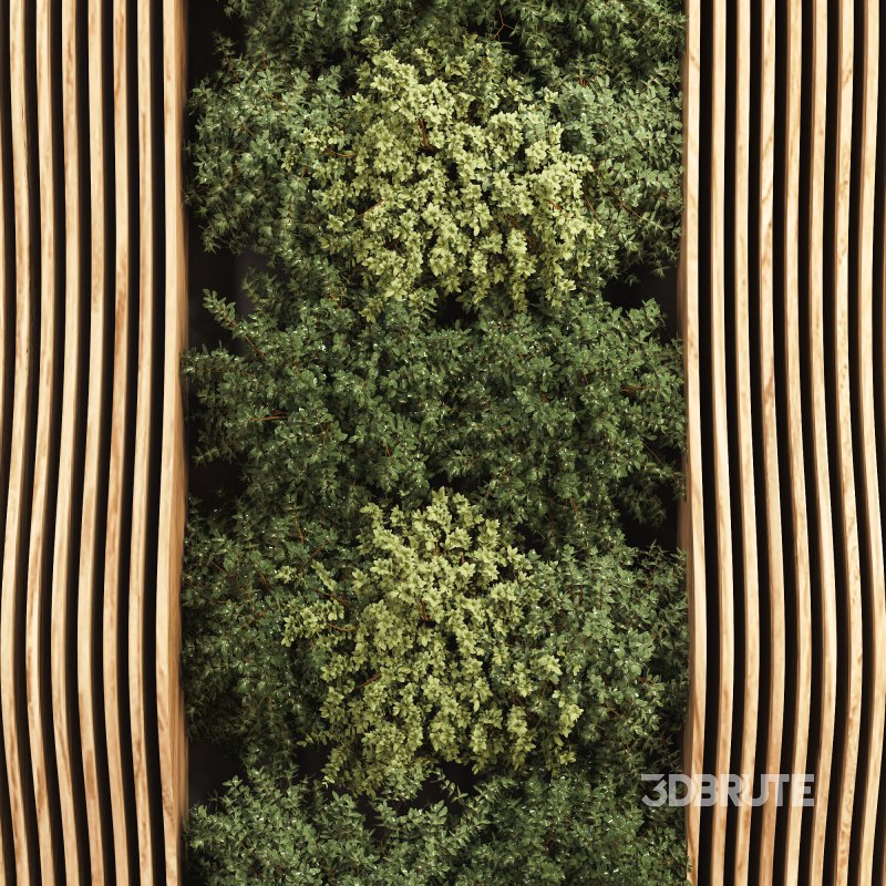 Vertical Garden Image 5
