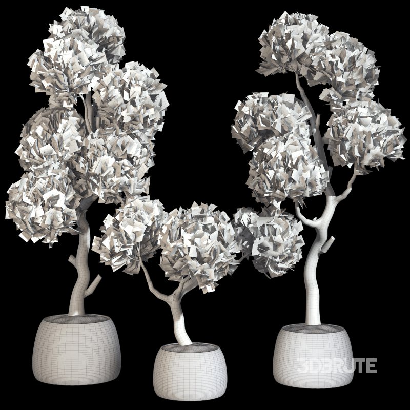 Topiary Ball in Pot Collection 012 Image 7