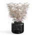 Pampas Bouquet with IKEA Vase - Thumbnail 2