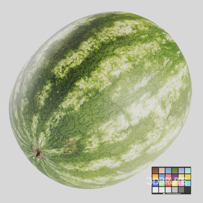 Watermelon Image 1