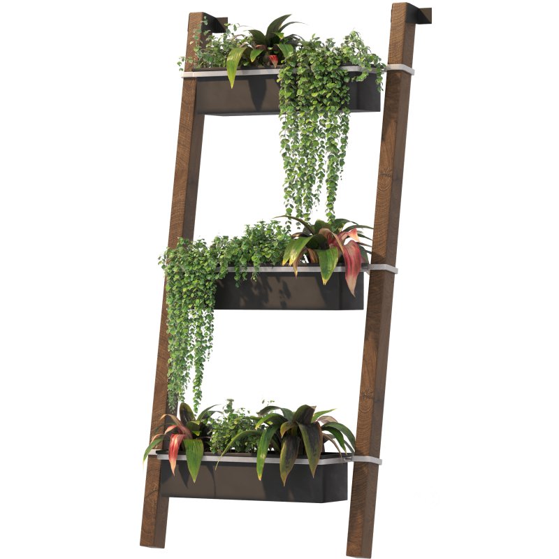 Plant Set 05 Image 2