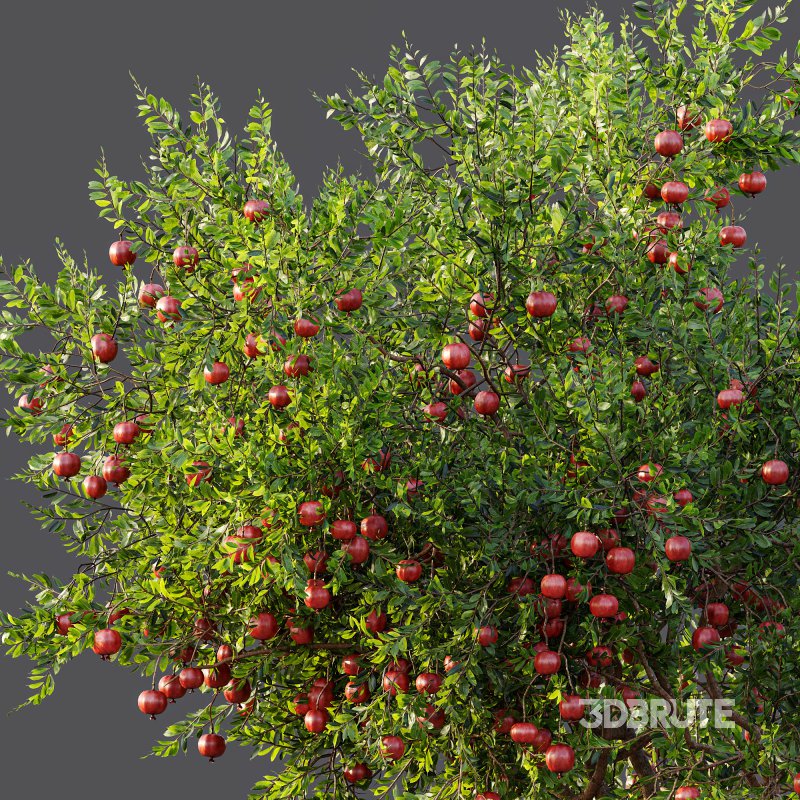 ntal and productive garden designs. Image 14