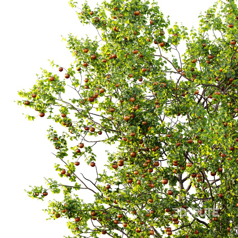 ntal and productive garden designs. Image 5