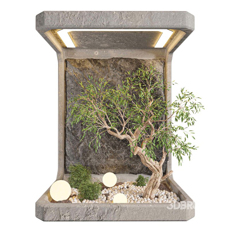 Indoor plant set 01 Image 4