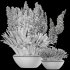 Pampas and Grass in Pot - Thumbnail 4