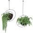 Metal Hanging Plants 03 - Thumbnail 7