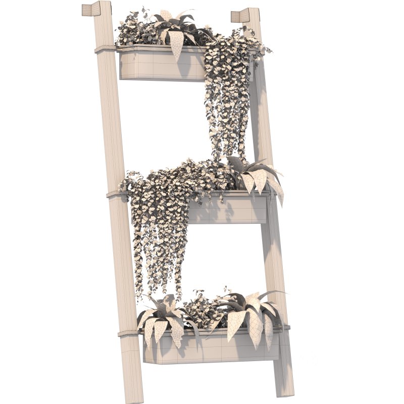 Plant Set 05 Image 3