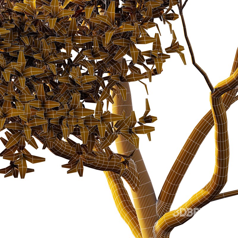 Different Trees 22 Image 4