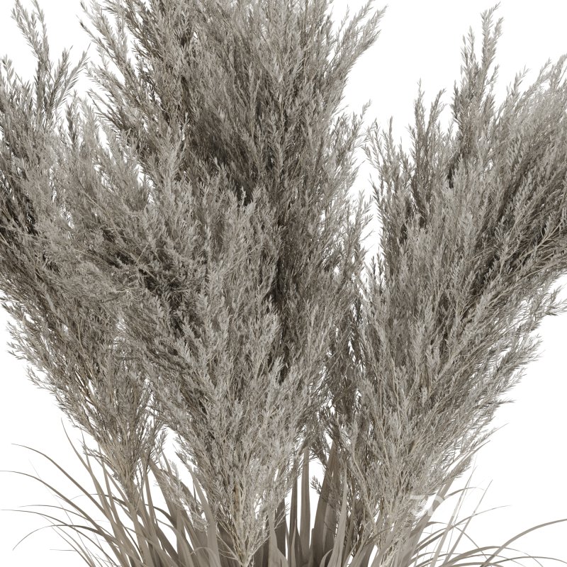 Minimal Pampas Bouquet in Pottery Vase 02 Image 3