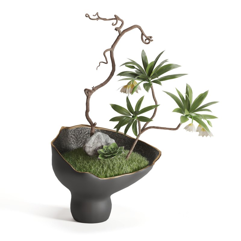 Vase and Plant Decorative Image 3