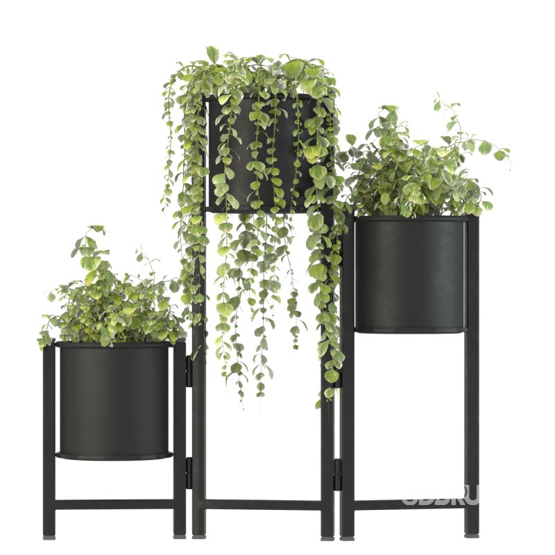 Plant Set 03 Image 1