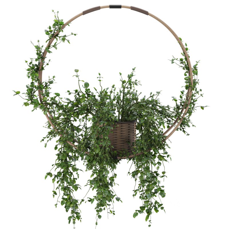 Hanging Wicker Pot Image 4