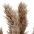 Pampas Plants in White Vase - Thumbnail 2