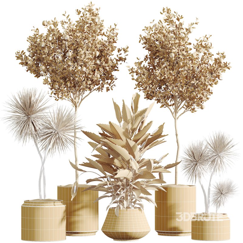 Indoor plant Image 6