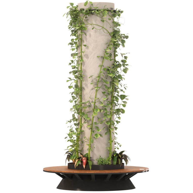 Ivy Column 02 Image 3