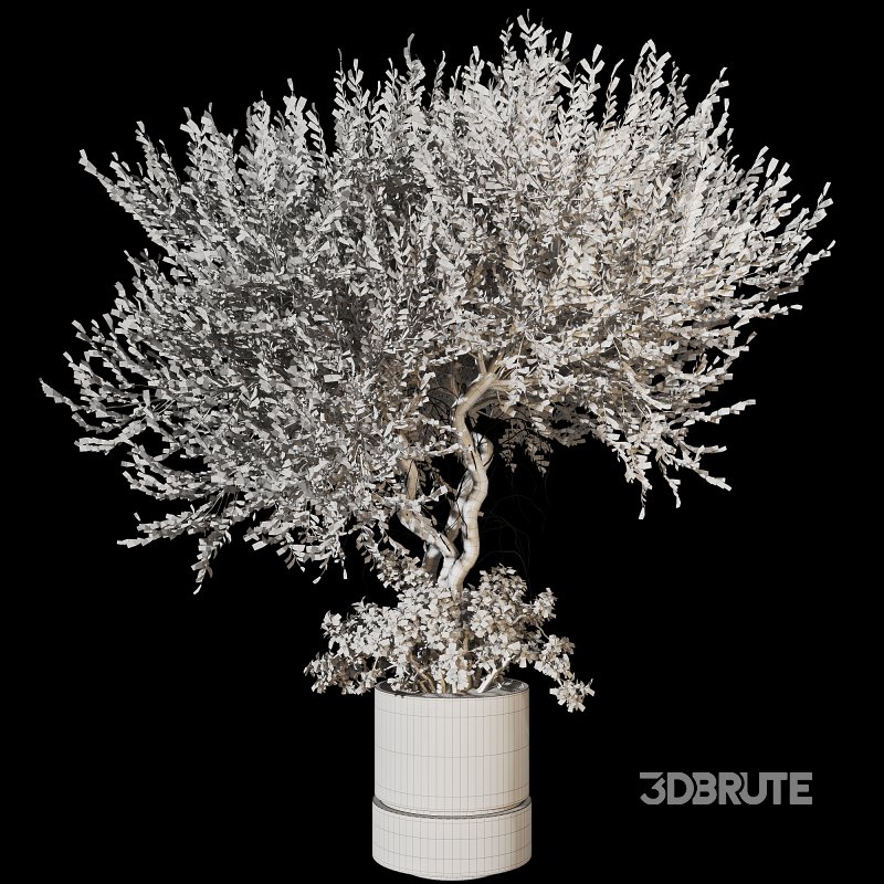 Decorative Indoor Plant and Ivy Branches in Pot Image 5