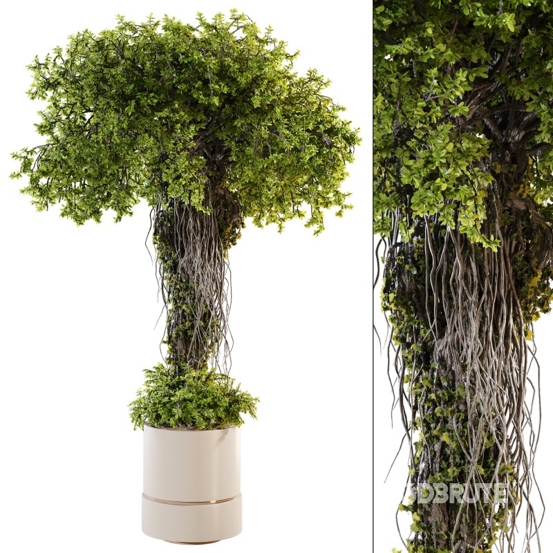 Ivy Branches in Cement Pot Image 1