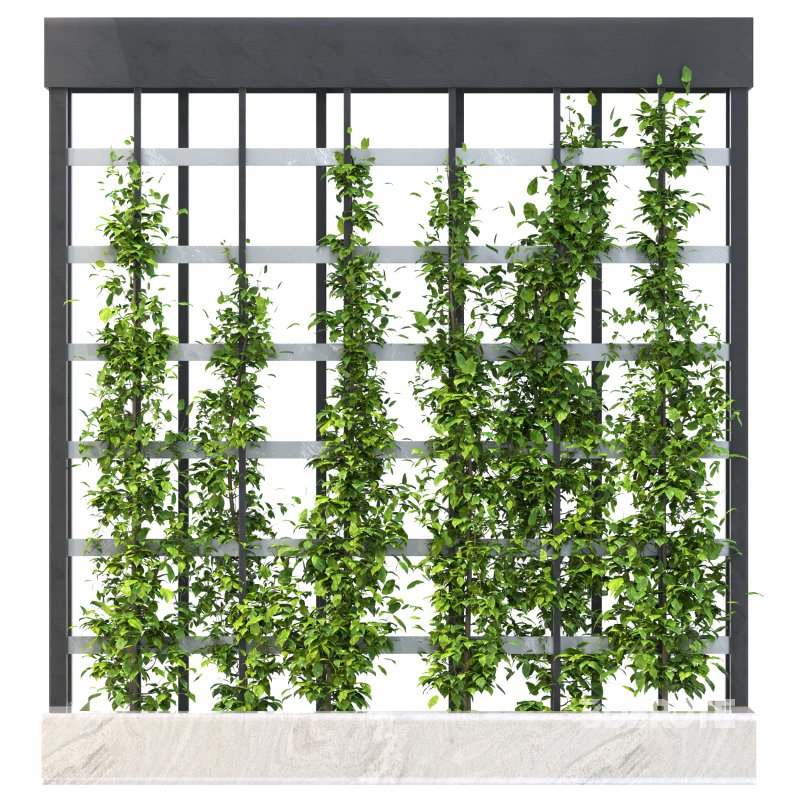 Vertical Garden Trellis 01 Image 5