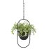 Metal Hanging Plants 02 - Thumbnail 3