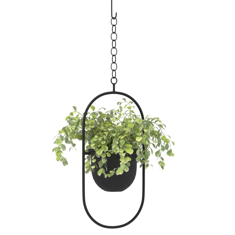 Metal Hanging Plants 02 Image 3