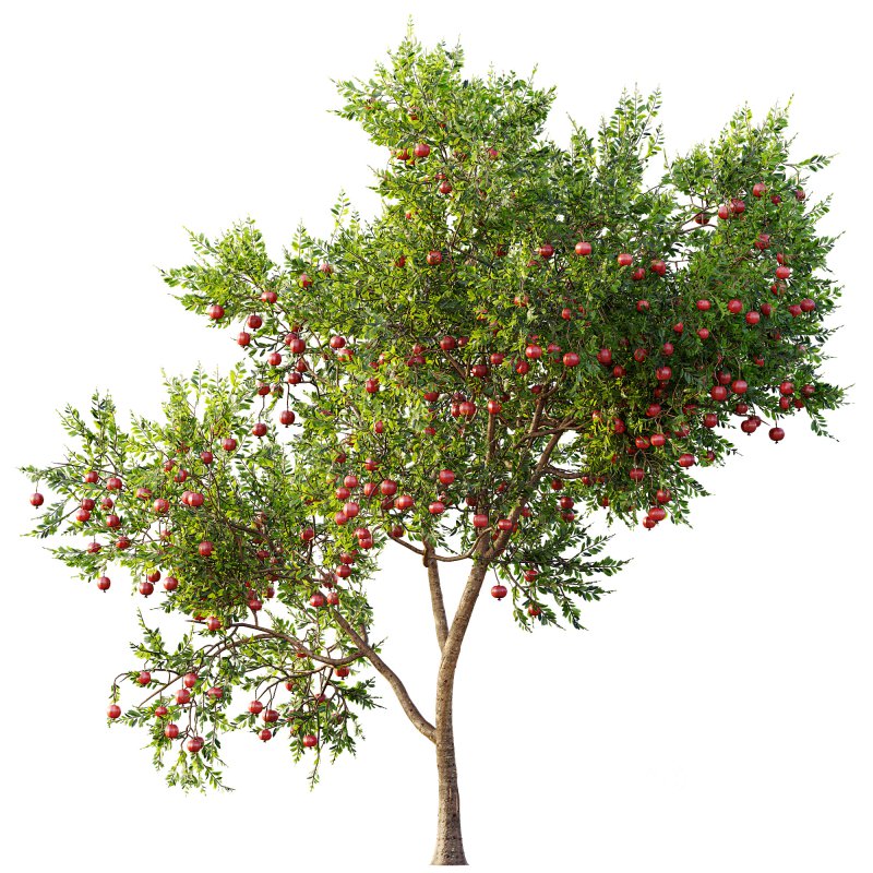 ntal and productive garden designs. Image 15