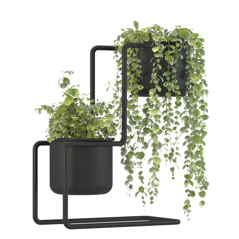 Plant Set 04 Image 5