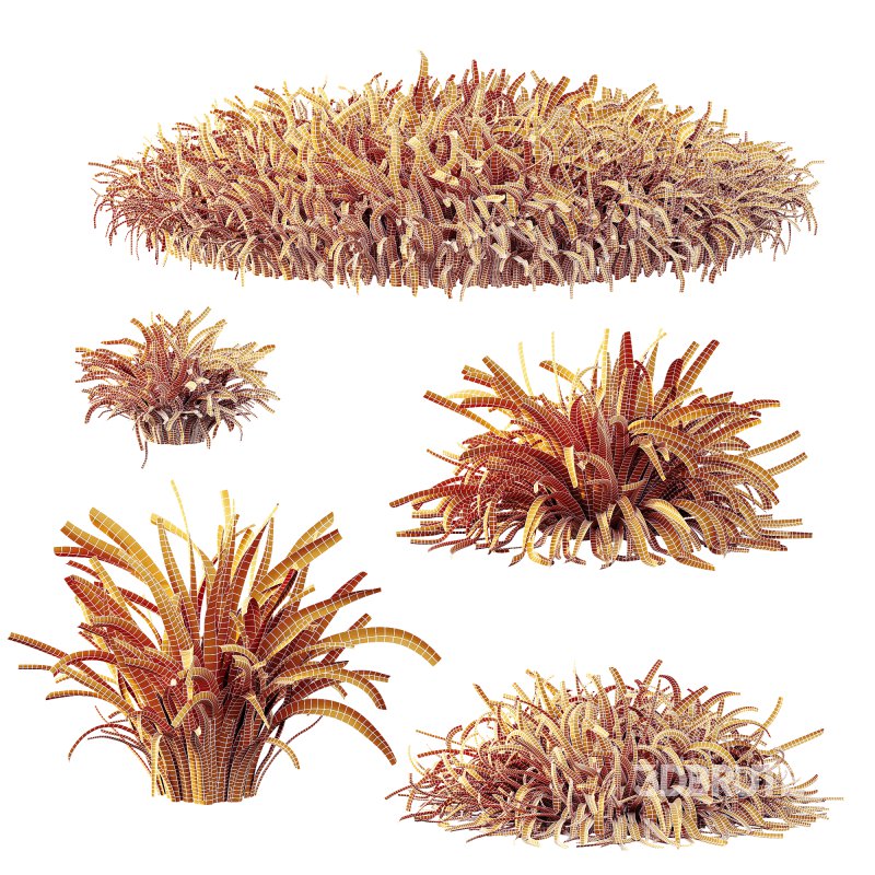 ntal grass known for its fine arching foliage and fresh green tones with subtle golden highlights. Compact and versatile, it is native to East Asia and widely used in landscaping and architectural design for borders, garden edges, and decorative planters. Its graceful fountain-like form adds movement, texture, and natural beauty to both exterior and interior visualizations. Modeled with precision and 4K textures, this asset ensures lifelike detail and excellent performance in high-quality renders. Image 4