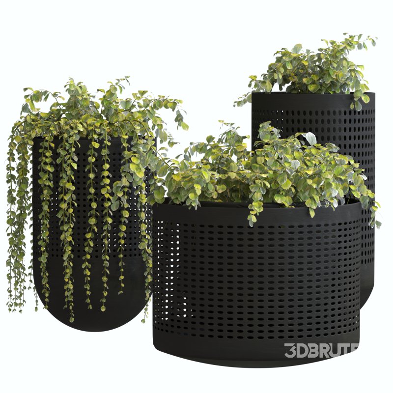 Metal Plant Set 02 Image 6