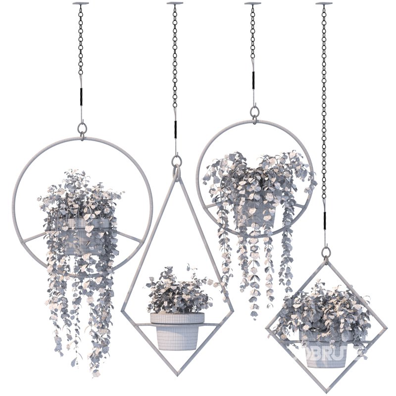 Boho Hanging Plants 03 Image 5