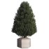 Pine Tree Outdoor Plant Set 07 - Thumbnail 3