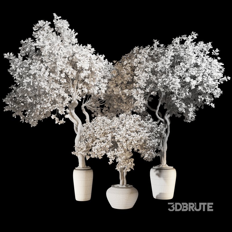 Indoor Plant Set 04 Image 5