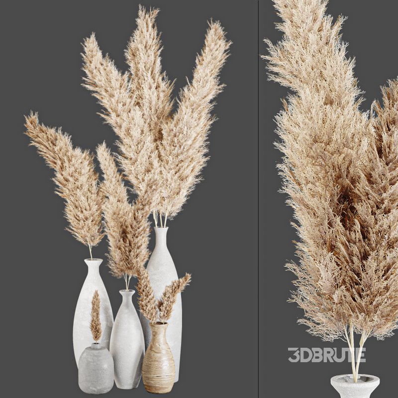 Indoor Papmas bouquet in vase collection 2 Image 4