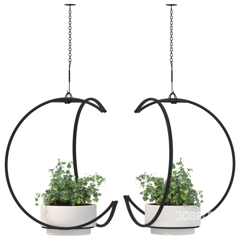 Metal Hanging Plants 04 Image 1