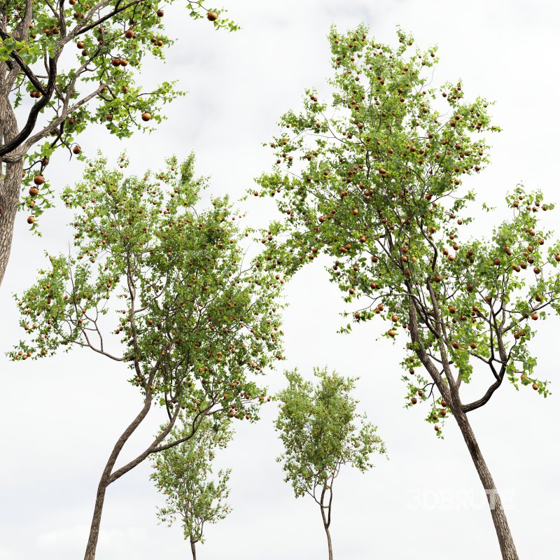 ntal and productive garden designs. Image 10