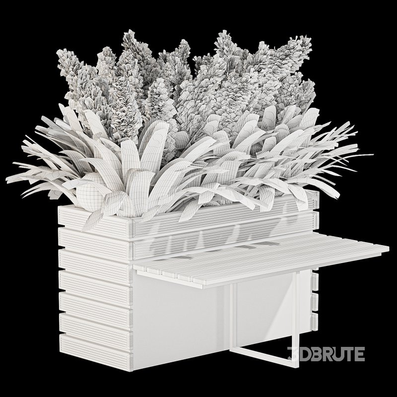 Outdoor Pampas And Grass Plants Set Image 4