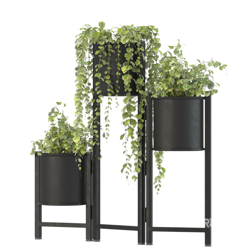 Plant Set 03 Image 4