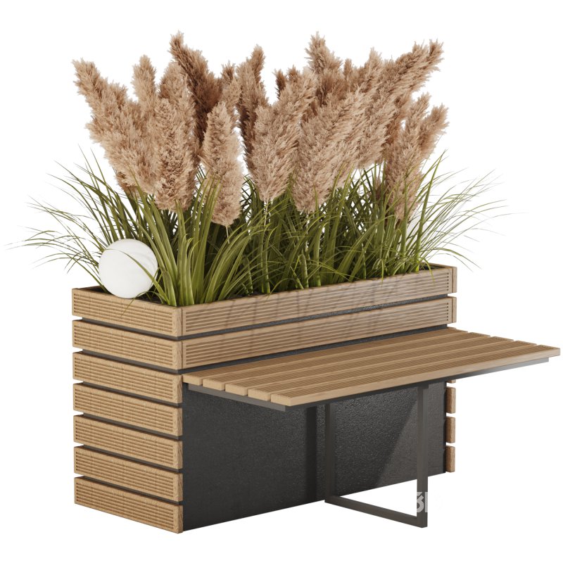 Outdoor Pampas And Grass Plants Set Image 2