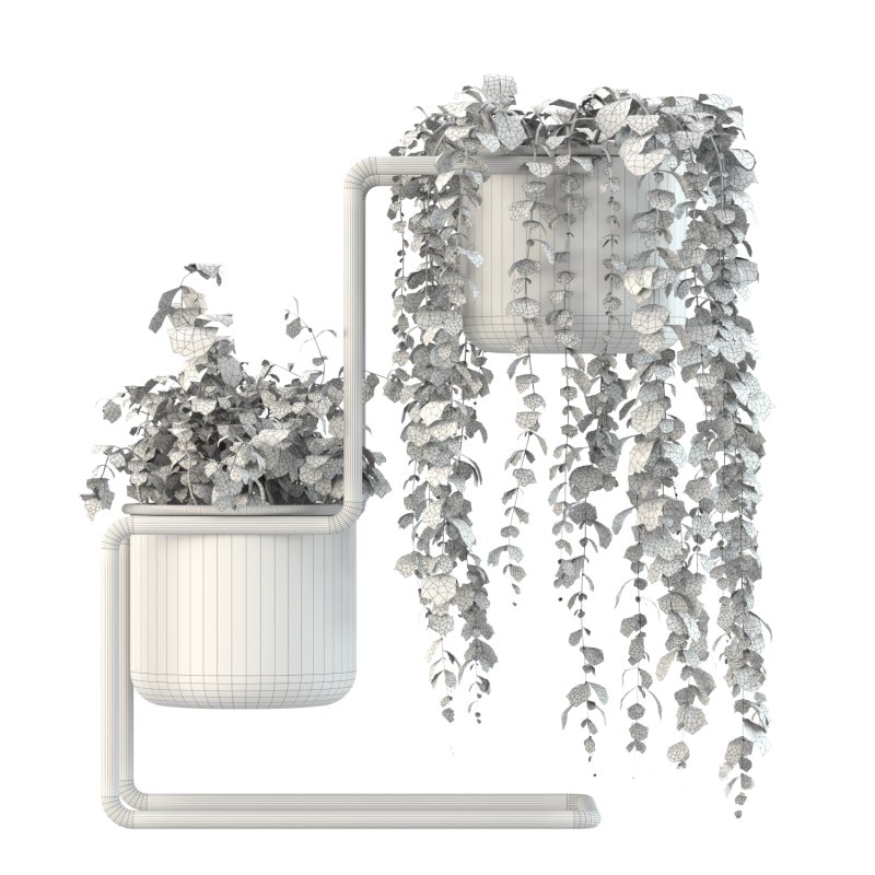 Plant Set 04 Image 2