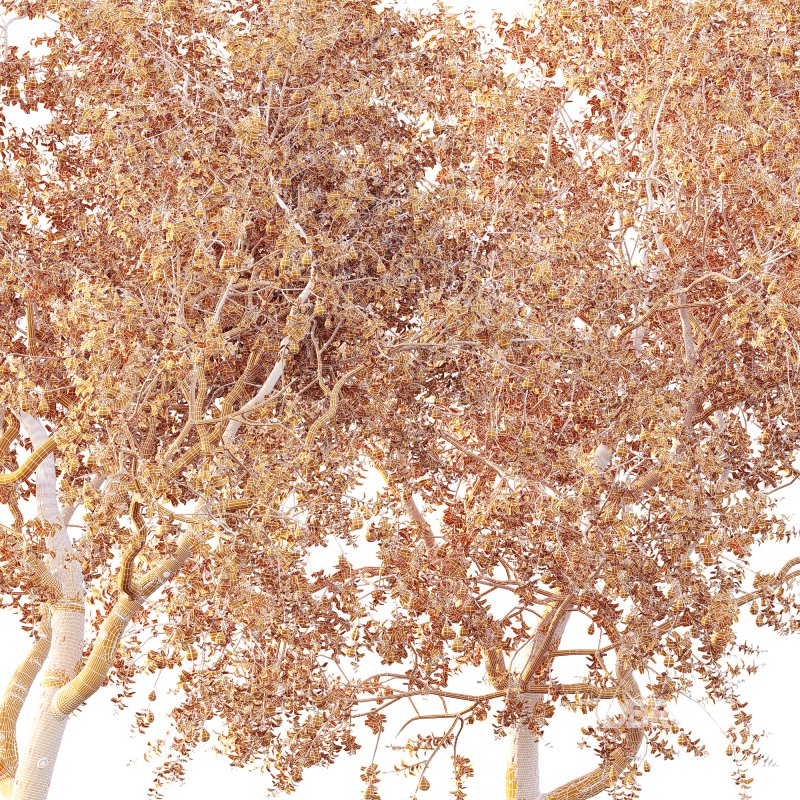 ntal presence. Image 9