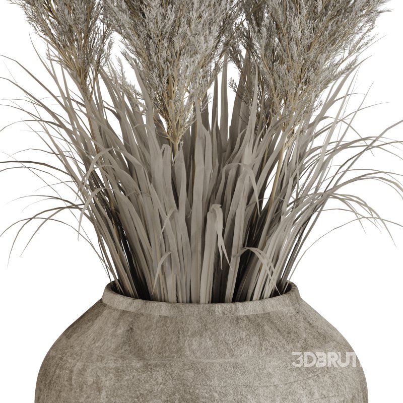 Minimal Pampas Bouquet in Pottery Vase 02 Image 4