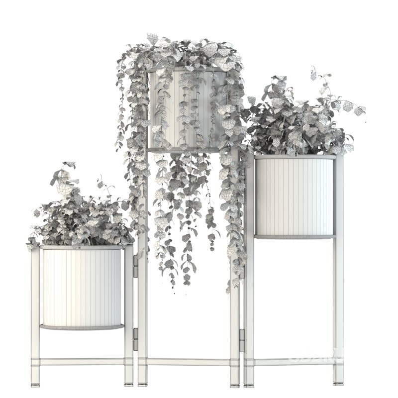 Plant Set 03 Image 2