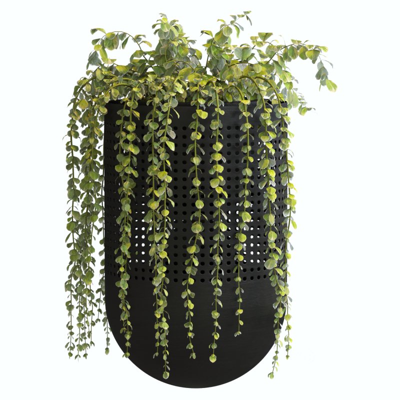 Metal Plant Set 02 Image 5