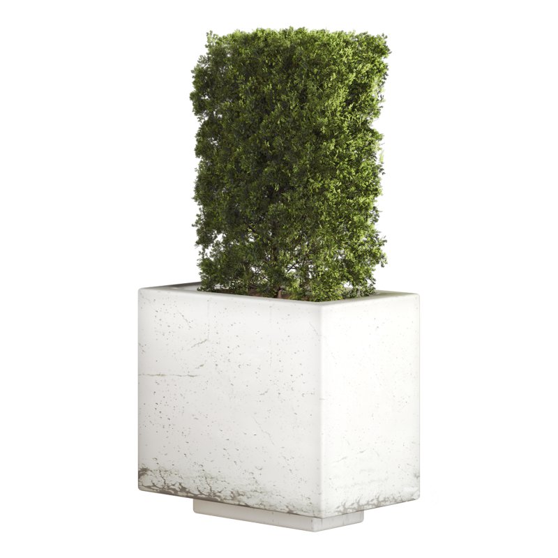 Hedge Set 01 Image 4