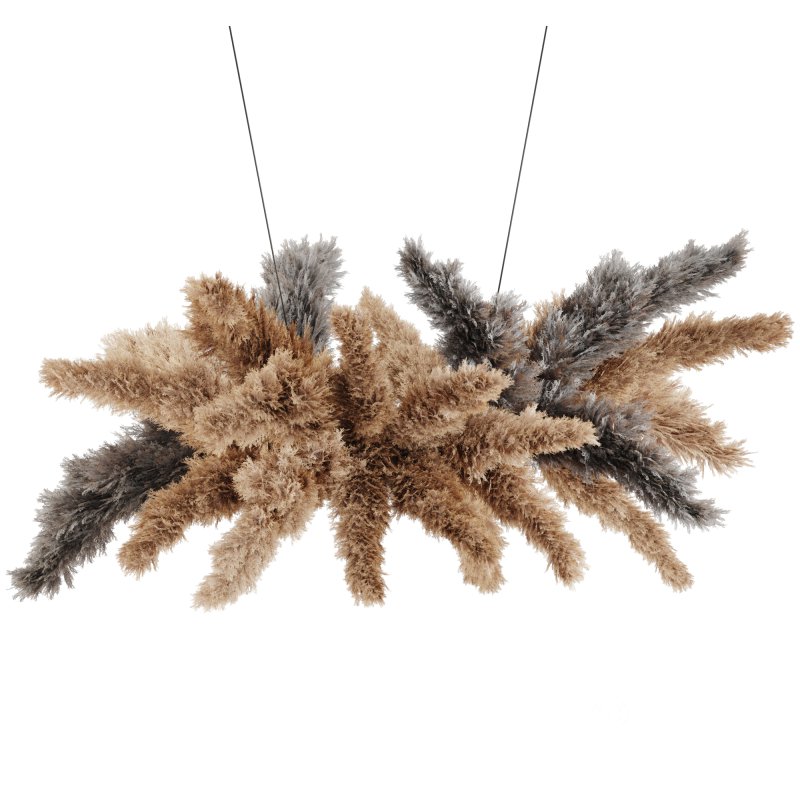 Ceiling Pampas Grass Image 3